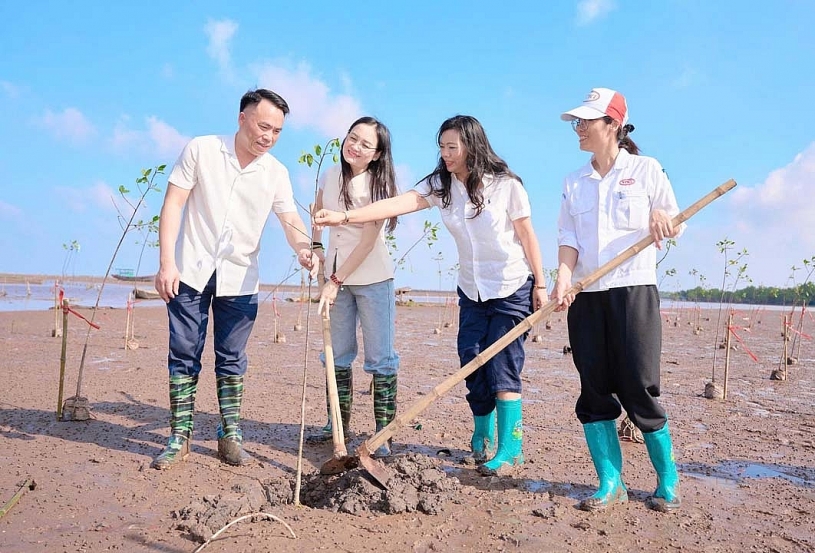 Toyota Việt Nam: Dựng “lá chắn xanh” ven biển vì một tương lai bền vững