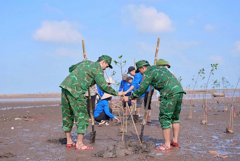 Toyota Việt Nam: Dựng “lá chắn xanh” ven biển vì một tương lai bền vững
