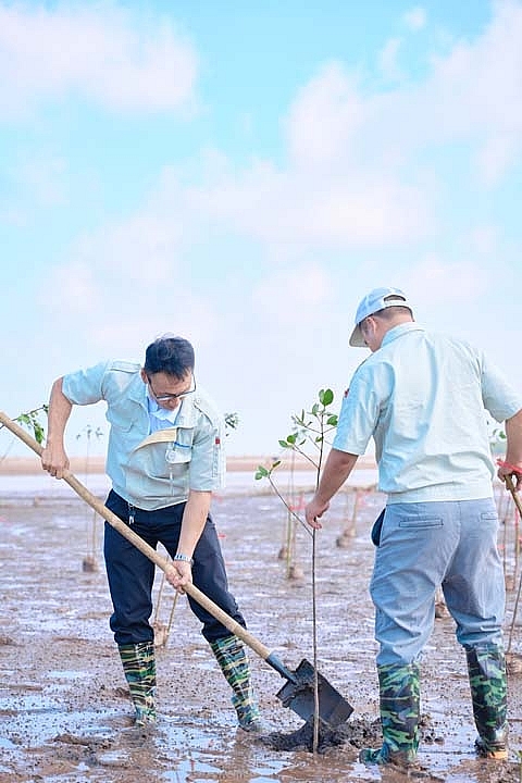 Toyota Việt Nam: Dựng “lá chắn xanh” ven biển vì một tương lai bền vững