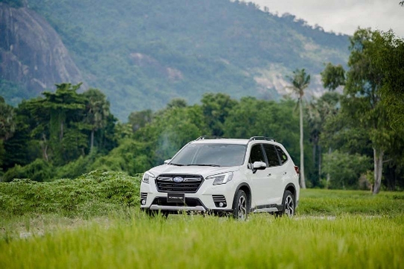 Subaru Forester và Crosstrek nhận ưu đãi 308 triệu đồng Subaru Forester và Crosstrek nhận ưu đãi 308 triệu đồng
