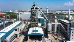 Vingroup hợp tác và hỗ trợ Pomina phát triển