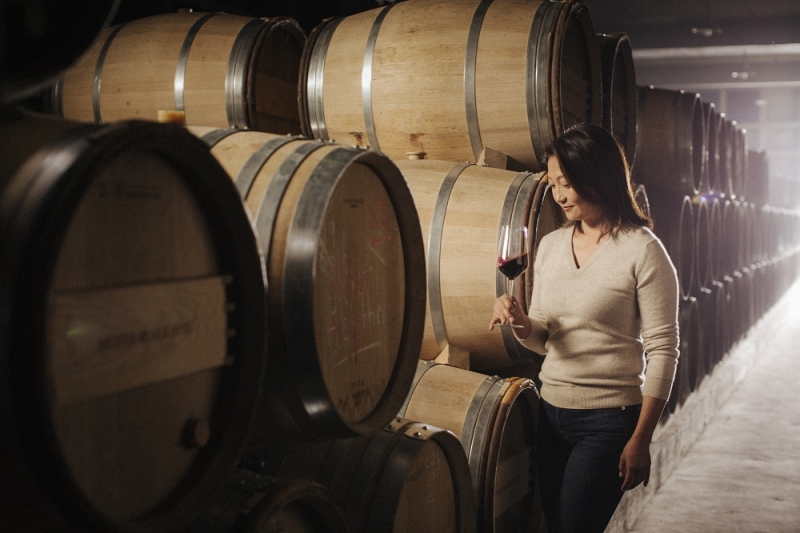 lexus hop tac lam phim jouneey in taste