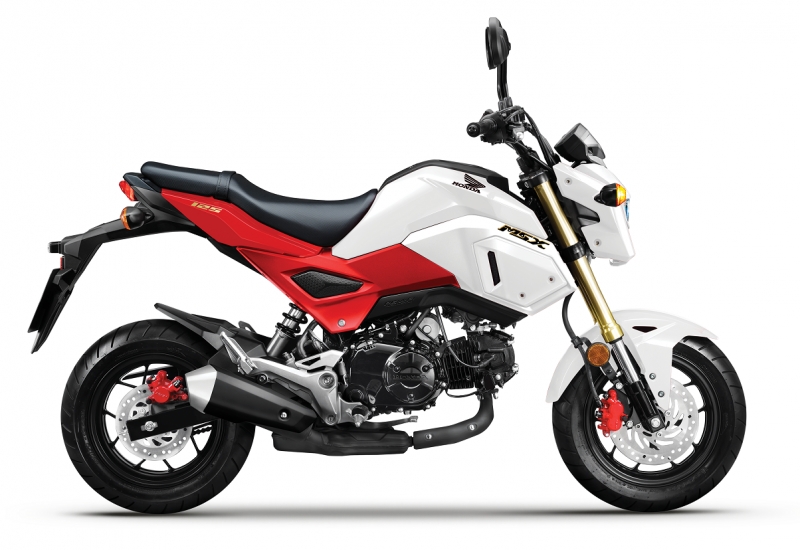 HONDA MSX 125 SF cũ mới giá tốt  Chợ Xe Máy WebikeVN