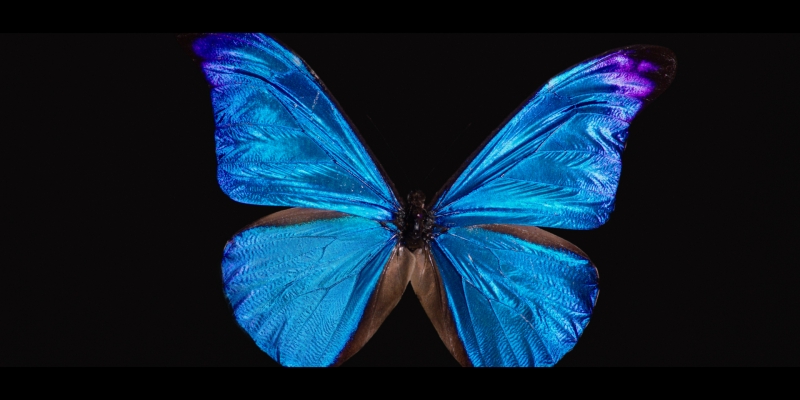 Chiêm ngưỡng Lexus LC500 cực chất trong bom tấn Black Panther chiem nguong lexus lc500 cuc chat trong bom tan black panther