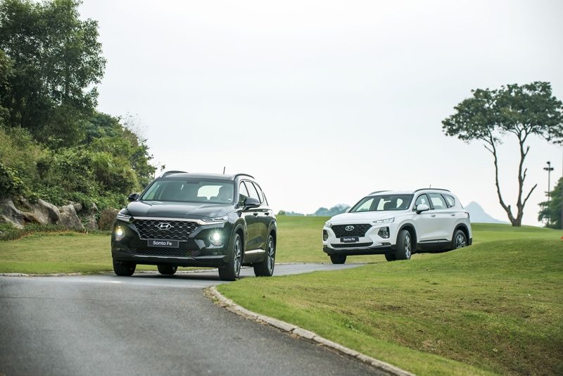 Hyundai Santa Fe 2019 2717-autobikes-hyundai-santafe-2019-14